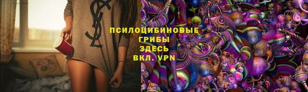 PSILOCYBIN Волосово